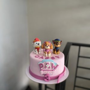 pink paw patrol cake for girls