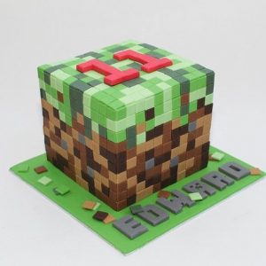 Minecraft Cube Pixelated Cake