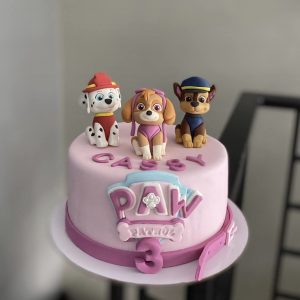 Pink Paw Patrol Cake