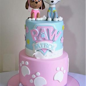 Paw Patrol's Skye and Everest Cake