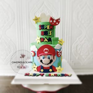 Super Mario Cake 2-Tier